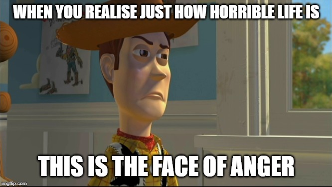 Really Angry Woody | WHEN YOU REALISE JUST HOW HORRIBLE LIFE IS; THIS IS THE FACE OF ANGER | image tagged in woody,toy story,angry | made w/ Imgflip meme maker