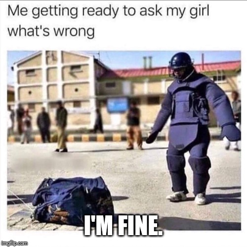 I'M FINE. | image tagged in girls,bomb | made w/ Imgflip meme maker
