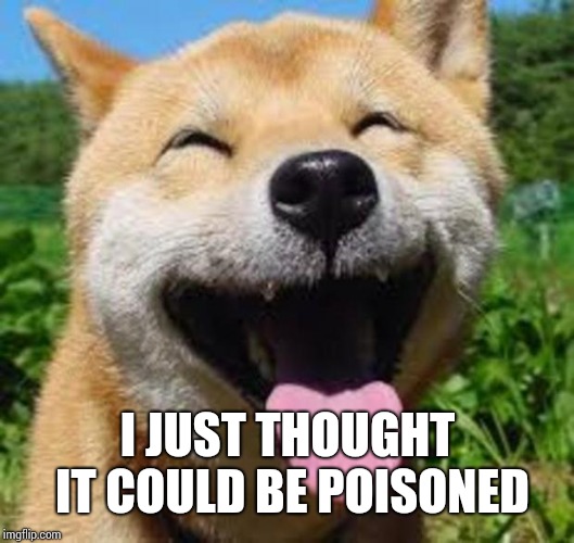 Happy Doge | I JUST THOUGHT IT COULD BE POISONED | image tagged in happy doge | made w/ Imgflip meme maker