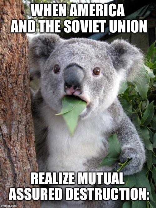 Surprised Koala Meme | WHEN AMERICA AND THE SOVIET UNION; REALIZE MUTUAL ASSURED DESTRUCTION: | image tagged in memes,surprised koala | made w/ Imgflip meme maker