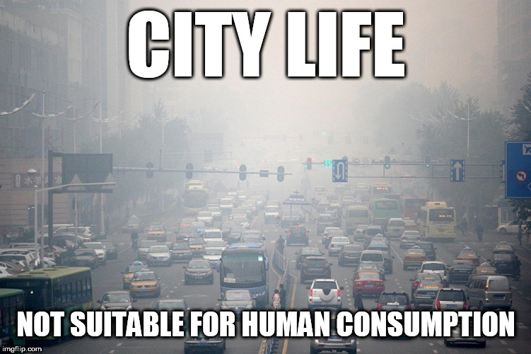 City Smog | CITY LIFE; NOT SUITABLE FOR HUMAN CONSUMPTION | image tagged in city smog | made w/ Imgflip meme maker