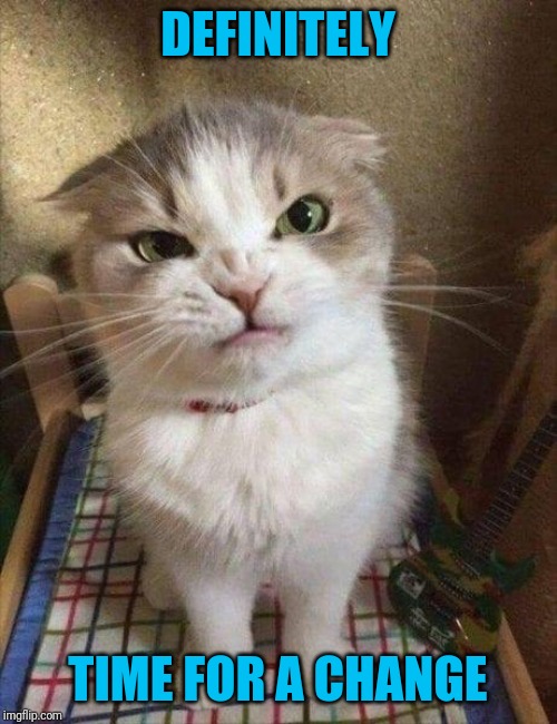 Angry cat | DEFINITELY TIME FOR A CHANGE | image tagged in angry cat | made w/ Imgflip meme maker
