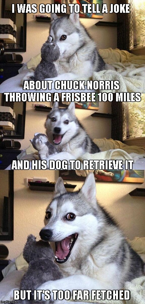 play fetch | I WAS GOING TO TELL A JOKE; ABOUT CHUCK NORRIS THROWING A FRISBEE 100 MILES; AND HIS DOG TO RETRIEVE IT; BUT IT'S TOO FAR FETCHED | image tagged in memes,bad pun dog | made w/ Imgflip meme maker