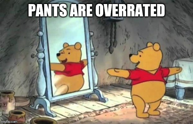 Happy Pooh Bear | PANTS ARE OVERRATED | image tagged in happy pooh bear | made w/ Imgflip meme maker