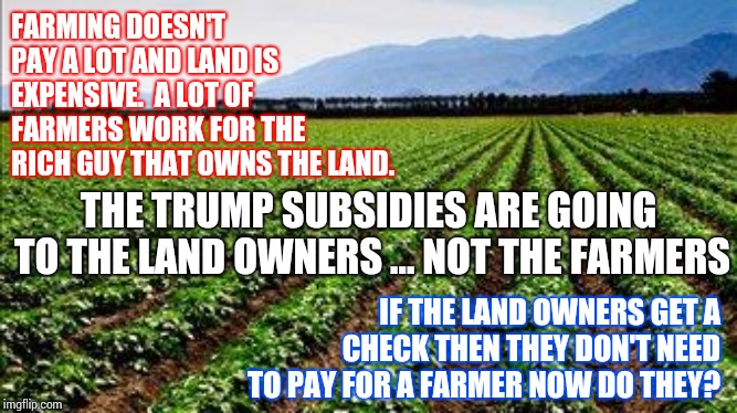 Farmers.  Cherlindrea Sends Me Farmers. | FARMING DOESN'T PAY A LOT AND LAND IS EXPENSIVE.  A LOT OF FARMERS WORK FOR THE RICH GUY THAT OWNS THE LAND. THE TRUMP SUBSIDIES ARE GOING TO THE LAND OWNERS ... NOT THE FARMERS; IF THE LAND OWNERS GET A CHECK THEN THEY DON'T NEED TO PAY FOR A FARMER NOW DO THEY? | image tagged in farmer,trump unfit unqualified dangerous,obstruction of justice,memes,so god made a farmer,farmers | made w/ Imgflip meme maker