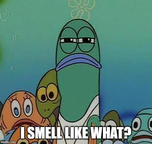 How do ya Think the Fish Feel? - Imgflip