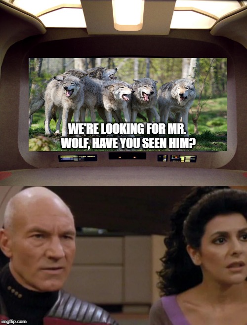 No One Here by that name.... | WE'RE LOOKING FOR MR. WOLF, HAVE YOU SEEN HIM? | image tagged in picard and troi confused,enterprise d view screen | made w/ Imgflip meme maker