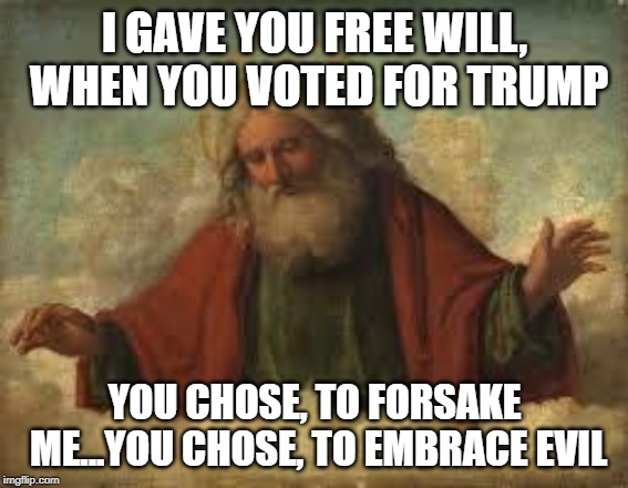 god | I GAVE YOU FREE WILL, WHEN YOU VOTED FOR TRUMP; YOU CHOSE, TO FORSAKE ME...YOU CHOSE, TO EMBRACE EVIL | image tagged in god | made w/ Imgflip meme maker