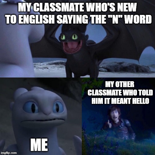 night fury | MY CLASSMATE WHO'S NEW TO ENGLISH SAYING THE "N" WORD; MY OTHER CLASSMATE WHO TOLD HIM IT MEANT HELLO; ME | image tagged in night fury | made w/ Imgflip meme maker