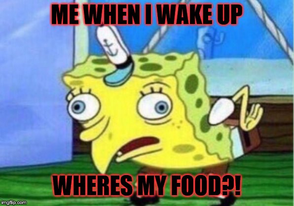 Mocking Spongebob Meme | ME WHEN I WAKE UP; WHERES MY FOOD?! | image tagged in memes,mocking spongebob | made w/ Imgflip meme maker
