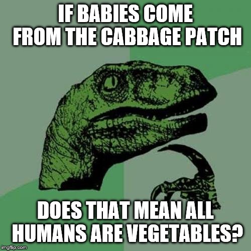 Philosoraptor Meme | IF BABIES COME FROM THE CABBAGE PATCH; DOES THAT MEAN ALL HUMANS ARE VEGETABLES? | image tagged in memes,philosoraptor | made w/ Imgflip meme maker