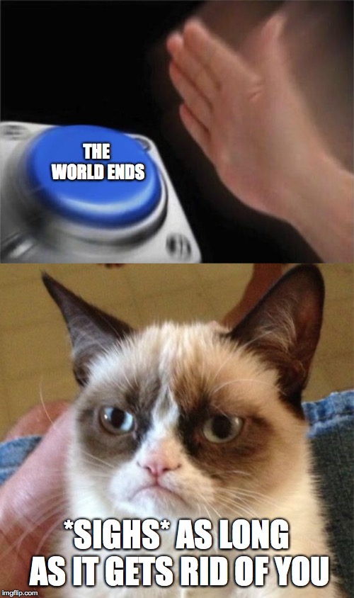 THE WORLD ENDS; *SIGHS* AS LONG AS IT GETS RID OF YOU | image tagged in memes,grumpy cat,blank nut button | made w/ Imgflip meme maker