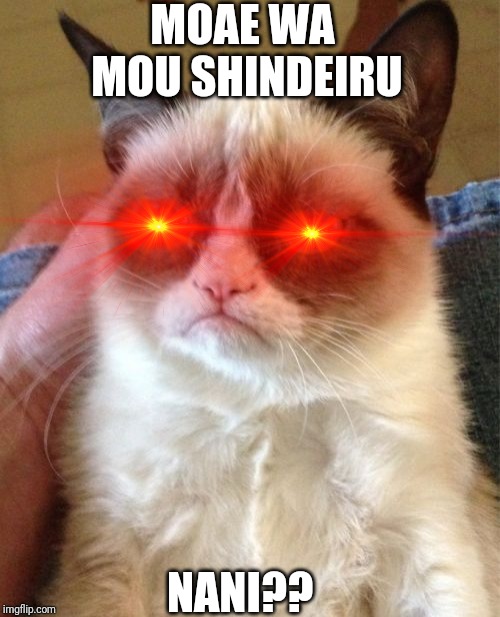 Grumpy Cat Meme | MOAE WA MOU SHINDEIRU; NANI?? | image tagged in memes,grumpy cat | made w/ Imgflip meme maker