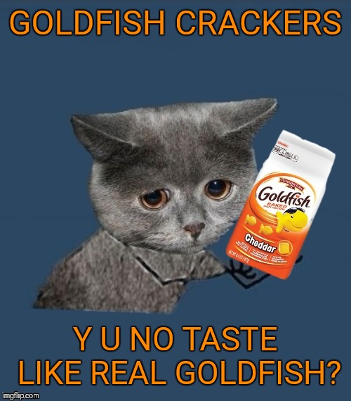I can haz pet goldfish? | GOLDFISH CRACKERS; Y U NO TASTE LIKE REAL GOLDFISH? | image tagged in memes,y u no sad cat,44colt,goldfish crackers,the snack that smiles back,pepperidge farms | made w/ Imgflip meme maker
