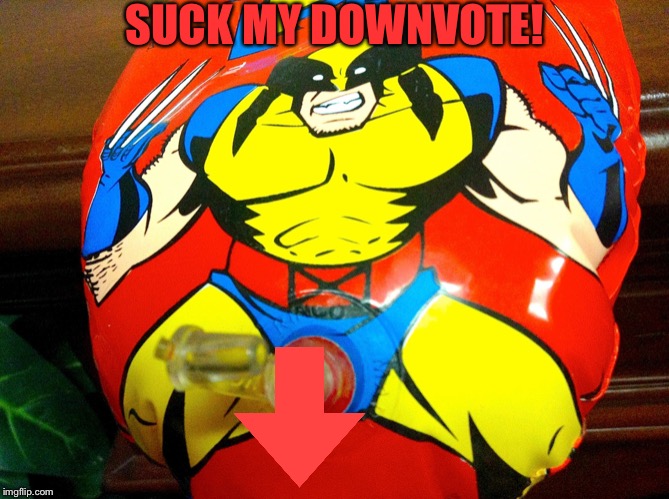 Dirty Wolverine hammer | SUCK MY DOWNVOTE! | image tagged in dirty wolverine hammer | made w/ Imgflip meme maker