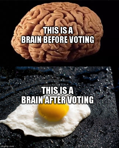 This is your brain | THIS IS A BRAIN BEFORE VOTING; THIS IS A BRAIN AFTER VOTING | image tagged in this is your brain | made w/ Imgflip meme maker
