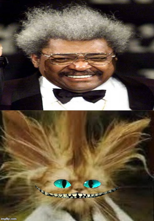 don king | image tagged in don king | made w/ Imgflip meme maker