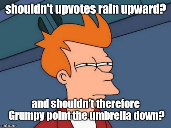 Futurama Fry Meme | shouldn't upvotes rain upward? and shouldn't therefore Grumpy point the umbrella down? | image tagged in memes,futurama fry | made w/ Imgflip meme maker