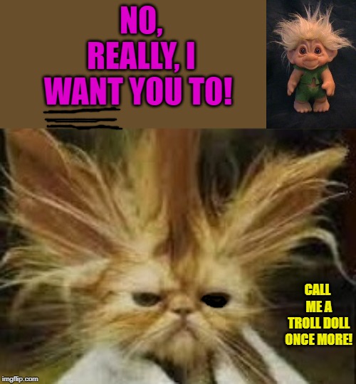 don king | NO, REALLY, I WANT YOU TO! CALL ME A TROLL DOLL ONCE MORE! | image tagged in don king | made w/ Imgflip meme maker
