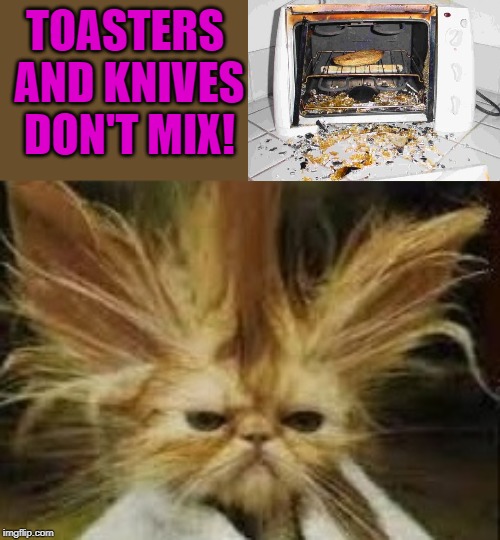 don king | TOASTERS AND KNIVES DON'T MIX! | image tagged in don king | made w/ Imgflip meme maker