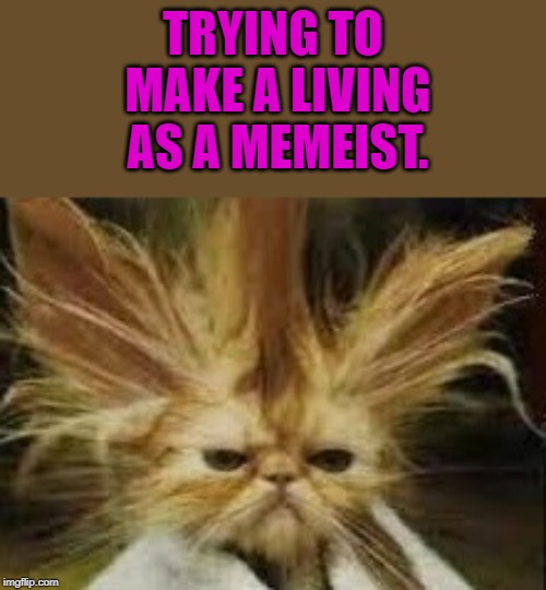don king | TRYING TO MAKE A LIVING AS A MEMEIST. | image tagged in don king | made w/ Imgflip meme maker