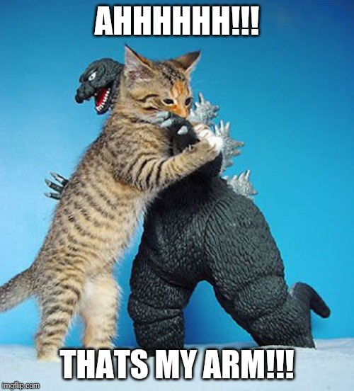 Cat vs Godzilla | AHHHHHH!!! THATS MY ARM!!! | image tagged in cat vs godzilla | made w/ Imgflip meme maker