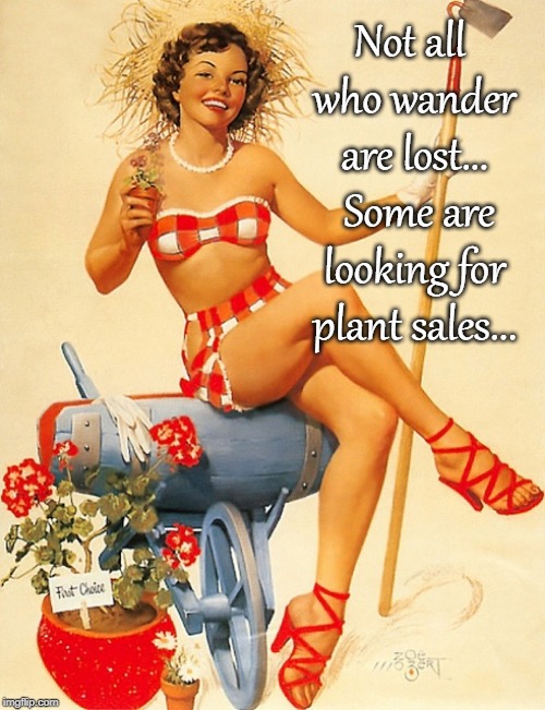 Wanderers... | Not all who wander are lost...  Some are looking for plant sales... | image tagged in lost,looking,plants | made w/ Imgflip meme maker