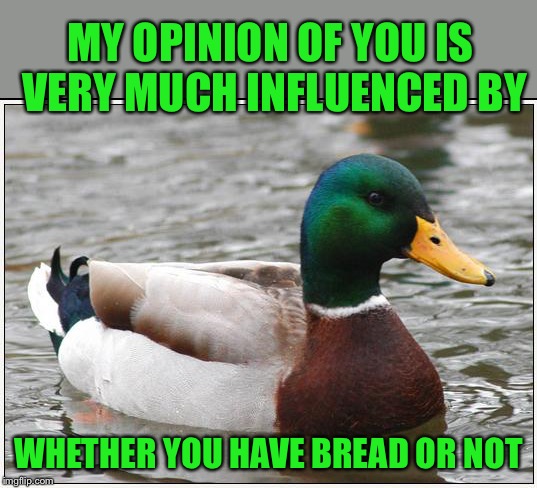 Actual Advice Mallard | MY OPINION OF YOU IS VERY MUCH INFLUENCED BY; WHETHER YOU HAVE BREAD OR NOT | image tagged in actual advice mallard,one does not simply,friend request,ducks,bread,friends | made w/ Imgflip meme maker