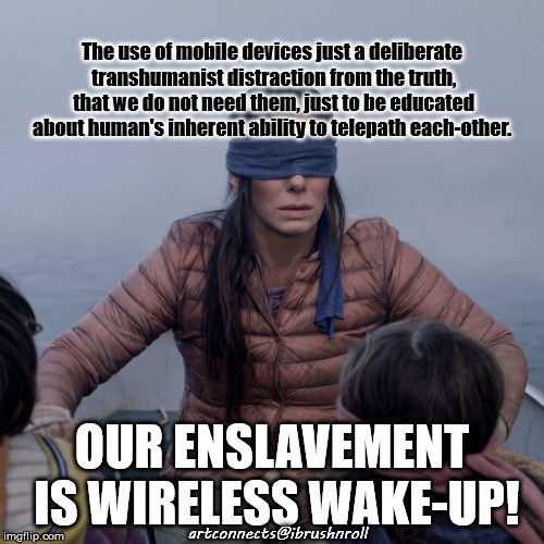 Bird Box Meme | The use of mobile devices just a deliberate transhumanist distraction from the truth, that we do not need them, just to be educated about human's inherent ability to telepath each-other. OUR ENSLAVEMENT IS WIRELESS WAKE-UP! artconnects@ibrushnroll | image tagged in memes,bird box | made w/ Imgflip meme maker