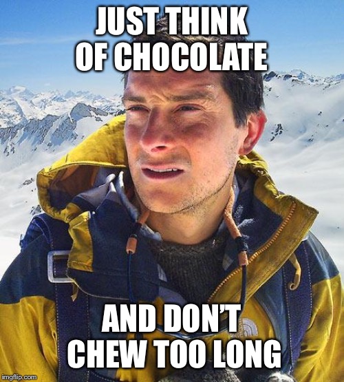 Bear Grylls Meme | JUST THINK OF CHOCOLATE AND DON’T CHEW TOO LONG | image tagged in memes,bear grylls | made w/ Imgflip meme maker