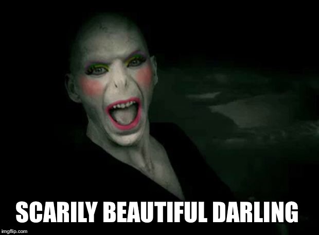 voldemort makeup | SCARILY BEAUTIFUL DARLING | image tagged in voldemort makeup | made w/ Imgflip meme maker