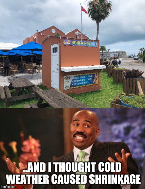 Frozen Boners? | ..AND I THOUGHT COLD WEATHER CAUSED SHRINKAGE | image tagged in memes,steve harvey,funny signs | made w/ Imgflip meme maker