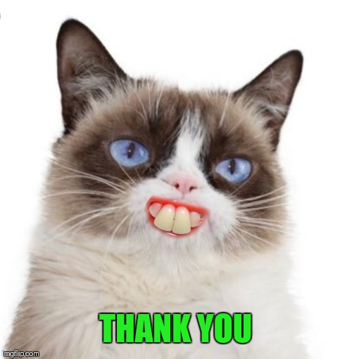 Grumpy Cat Artificially Smiles | THANK YOU | image tagged in grumpy cat artificially smiles | made w/ Imgflip meme maker