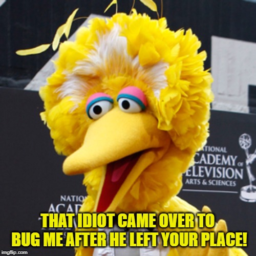 Big Bird Meme | THAT IDIOT CAME OVER TO BUG ME AFTER HE LEFT YOUR PLACE! | image tagged in memes,big bird | made w/ Imgflip meme maker