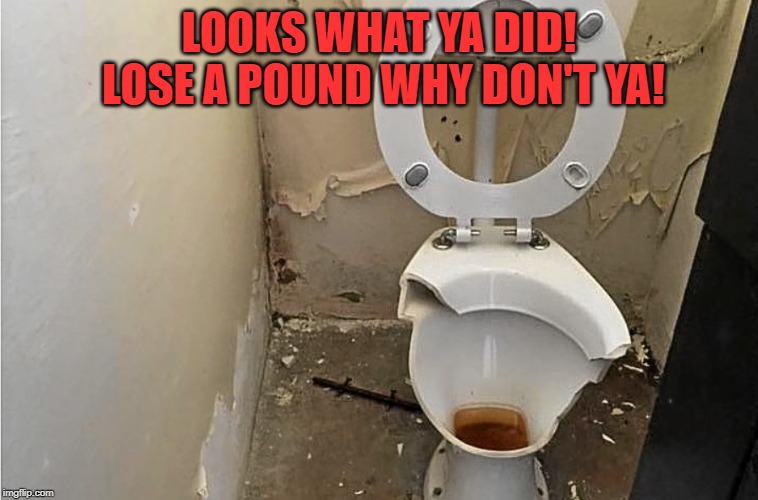 LOOKS WHAT YA DID! LOSE A POUND WHY DON'T YA! | made w/ Imgflip meme maker