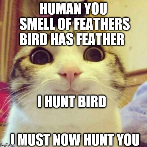 bird | HUMAN YOU SMELL OF FEATHERS; BIRD HAS FEATHER; I HUNT BIRD; I MUST NOW HUNT YOU | image tagged in memes,smiling cat,birds,feathers | made w/ Imgflip meme maker