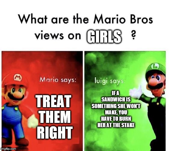 Mario Bros Views | GIRLS; IF A SANDWICH IS SOMETHING SHE WON'T MAKE, YOU HAVE TO BURN HER AT THE STAKE; TREAT THEM RIGHT | image tagged in mario bros views | made w/ Imgflip meme maker
