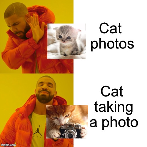 Drake Hotline Bling Meme | Cat photos; Cat taking a photo | image tagged in memes,drake hotline bling | made w/ Imgflip meme maker