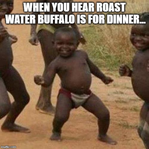 A Meal Fit for Africa | WHEN YOU HEAR ROAST WATER BUFFALO IS FOR DINNER... | image tagged in memes,third world success kid | made w/ Imgflip meme maker