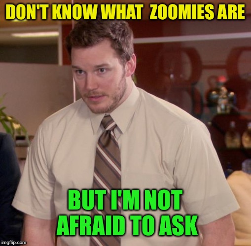 Afraid To Ask Andy Meme | DON'T KNOW WHAT  ZOOMIES ARE BUT I'M NOT AFRAID TO ASK | image tagged in memes,afraid to ask andy | made w/ Imgflip meme maker