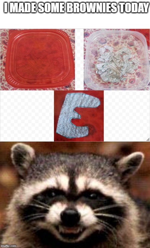 I MADE SOME BROWNIES TODAY | image tagged in memes,evil plotting raccoon | made w/ Imgflip meme maker