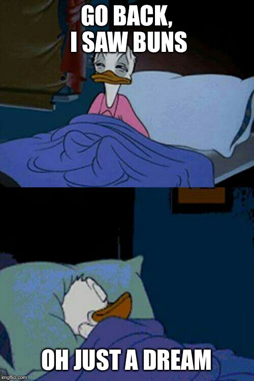 sleepy donald duck in bed | GO BACK, I SAW BUNS OH JUST A DREAM | image tagged in sleepy donald duck in bed | made w/ Imgflip meme maker