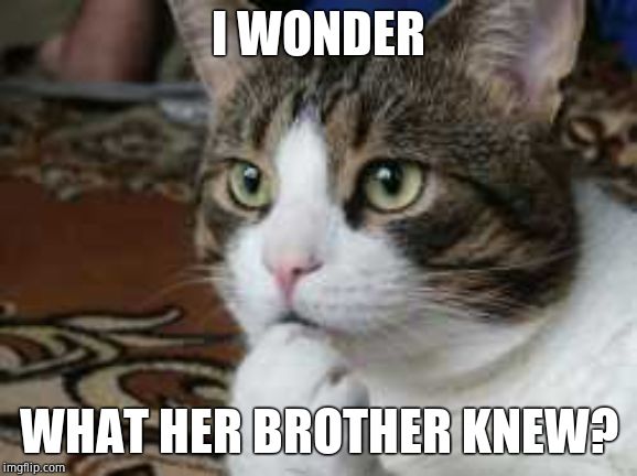 Ponder cat | I WONDER WHAT HER BROTHER KNEW? | image tagged in ponder cat | made w/ Imgflip meme maker