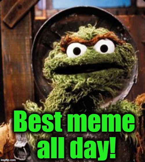 Oscar the Grouch | Best meme all day! | image tagged in oscar the grouch | made w/ Imgflip meme maker