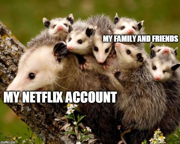 MY NETFLIX | MY FAMILY AND FRIENDS; MY NETFLIX ACCOUNT | image tagged in netflix | made w/ Imgflip meme maker