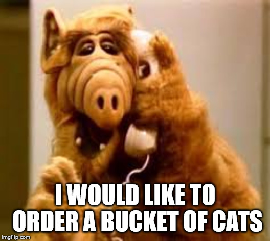 Cats are delicious | I WOULD LIKE TO ORDER A BUCKET OF CATS | image tagged in alf,cats | made w/ Imgflip meme maker
