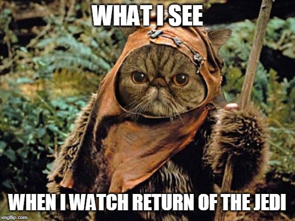Ewok CAT | WHAT I SEE; WHEN I WATCH RETURN OF THE JEDI | image tagged in cat,ewok | made w/ Imgflip meme maker