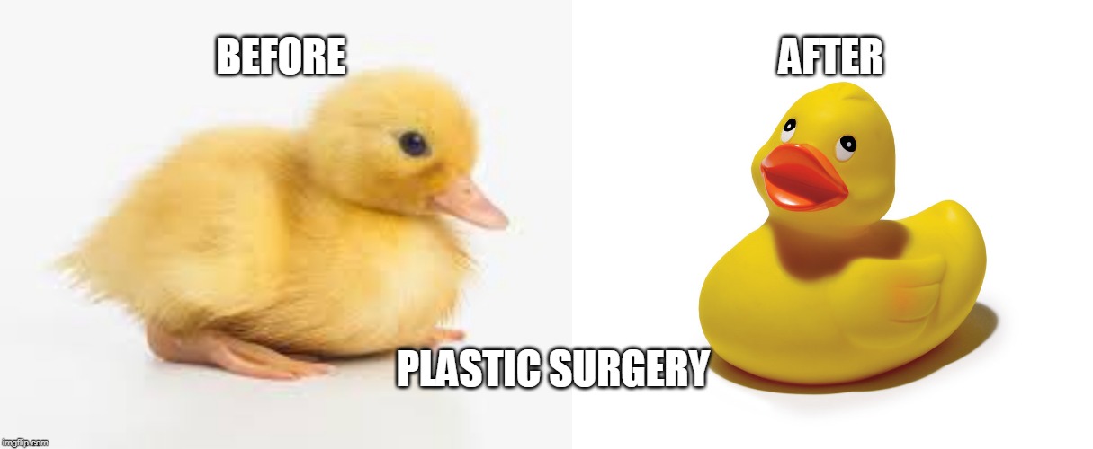 PLASTIC SURGERY | AFTER; BEFORE; PLASTIC SURGERY | image tagged in duck,duckling,fun | made w/ Imgflip meme maker