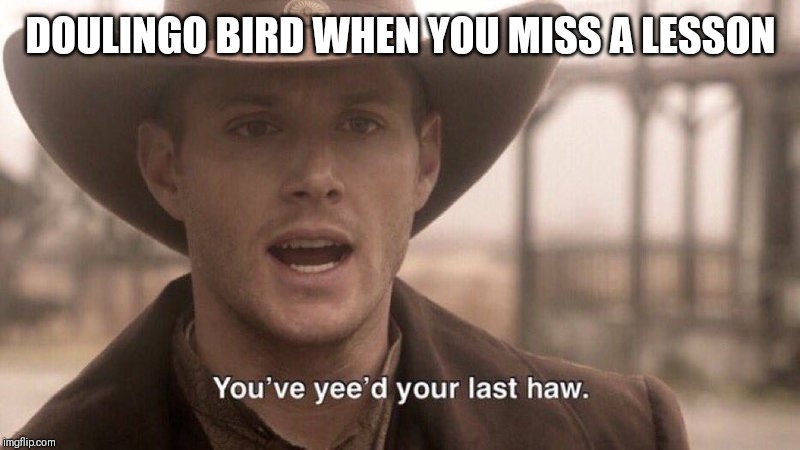 You've Yee'd Your Last Haw | DOULINGO BIRD WHEN YOU MISS A LESSON | image tagged in you've yee'd your last haw | made w/ Imgflip meme maker