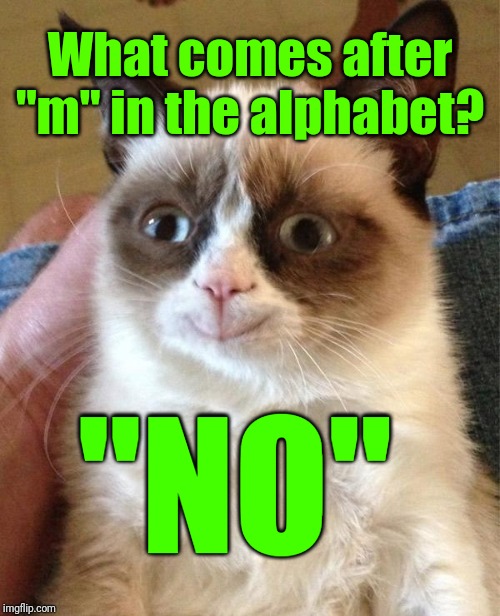 Grumpy Cat Happy Meme | What comes after "m" in the alphabet? "NO" | image tagged in memes,grumpy cat happy,grumpy cat | made w/ Imgflip meme maker
